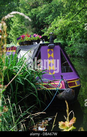 Grand classique sur le canal d'Oxford, Oxfordshire Royaume-Uni Banque D'Images