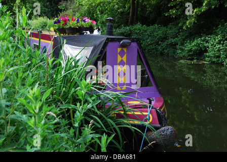 Grand classique sur le canal d'Oxford, Oxfordshire Royaume-Uni Banque D'Images