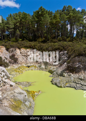 dh Wai O Tapu Thermal Wonderland WAIOTAPU NOUVELLE-ZÉLANDE Olive Lac vert eau de soufre Devils Cave pool géothermale Geo rotorua Banque D'Images