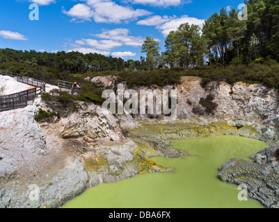 dh Wai O Tapu Thermal Wonderland WAIOTAPU NEW ZEALAND Tourist Observation de l'eau de soufre vert olive Devils Cave bain piscine lac parc rotorua Banque D'Images