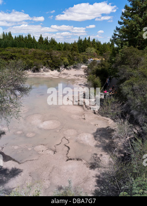 dh Wai O Tapu Thermal Wonderland WAIOTAPU NEW ZEALAND Tourist point de vue observation bouillonnante piscine de boue chaude volanique pot géothermique rotorua pots de boue Banque D'Images