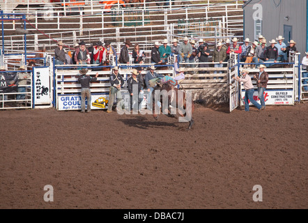 Le stampede de Wainwright, Wainwright, Alberta Banque D'Images