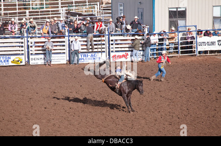 Le stampede de Wainwright, Wainwright, Alberta Banque D'Images