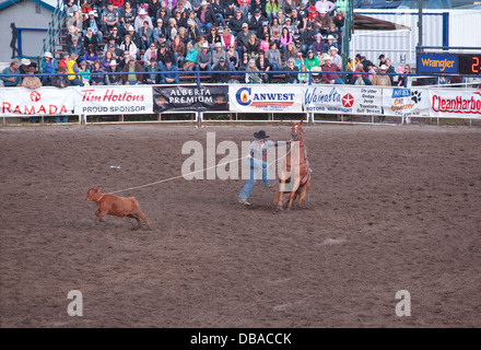 Le stampede de Wainwright, Wainwright, Alberta Banque D'Images