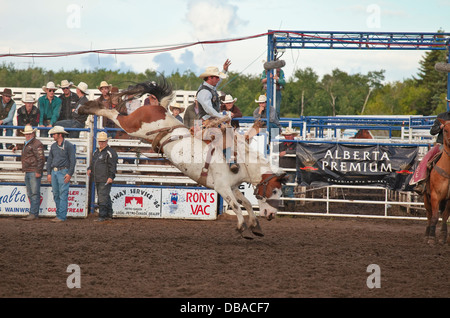 Le stampede de Wainwright, Wainwright, Alberta Banque D'Images