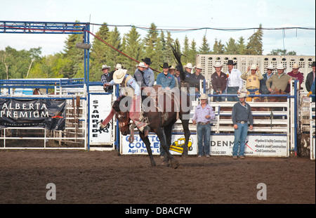 Le stampede de Wainwright, Wainwright, Alberta Banque D'Images