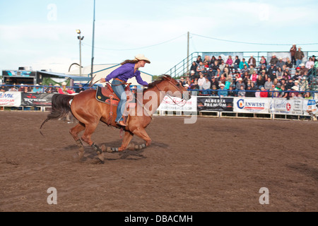 Le stampede de Wainwright, Wainwright, Alberta Banque D'Images