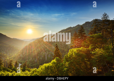 Coucher du soleil à la Newfound Gap dans les Great Smoky Mountains. Banque D'Images