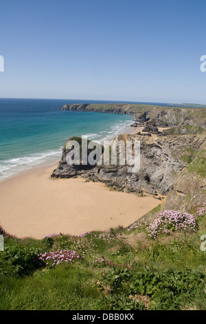 La côte de Cornouailles au Bedruthan Steps près de Newquay Cornwall Banque D'Images