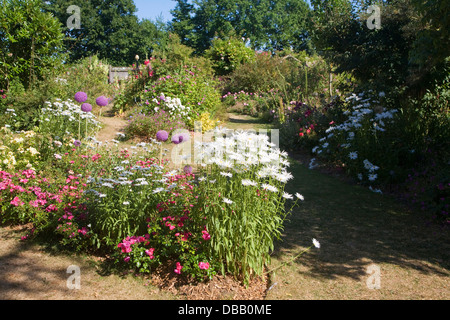 Jardins de Peter Beales roses Wymondham pépinière, Norfolk, Angleterre Banque D'Images