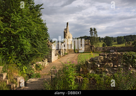 Les ruines de l'abbaye de Jervaulx, Yorkshire du Nord. Banque D'Images