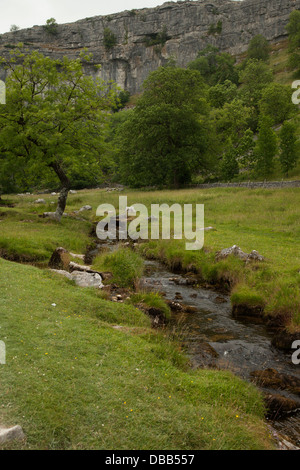 Malham Cove Yorkshire UK Banque D'Images