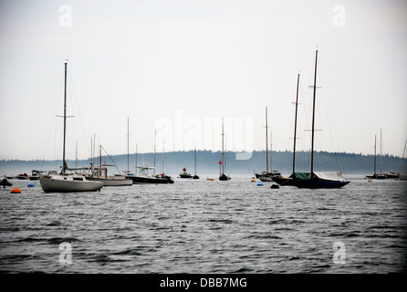 De nombreux bateaux amarrés au large, sur un matin brumeux dans le Maine Banque D'Images