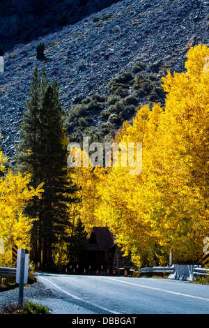 La couleur en automne par la route à Silver Lake le long de la boucle du lac Juin en juin Lake en Californie Banque D'Images