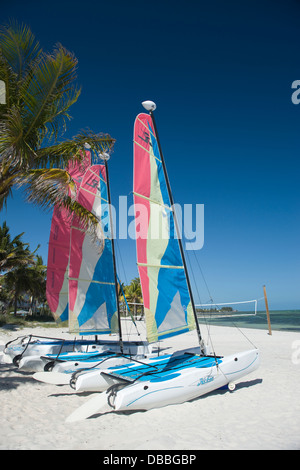 Location de voiliers HOBIE CAT SMATHERS BEACH KEY WEST FLORIDA USA Banque D'Images