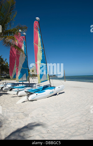 Location de voiliers HOBIE CAT SMATHERS BEACH KEY WEST FLORIDA USA Banque D'Images