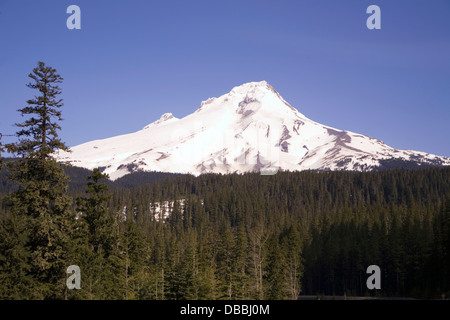 Le Mont Hood, Oregon, USA Banque D'Images