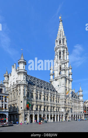 Ville de Bruxelles située sur la Grand Place Place Centrale (corrigée pour la convergence des verticales) Grand Place Bruxelles Belgique Banque D'Images