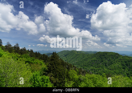 Parc national des Great Smoky Mountains landscape de Newfound Gap col Banque D'Images