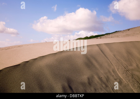 Les dunes de la plage à Fort Stevens State Park, près de Astoria, Oregon, USA Banque D'Images