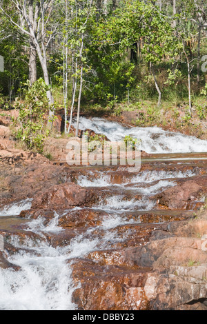 L'eau s'écoulant dans buley rock des trous dans le Litchfield National Park, Australie Banque D'Images