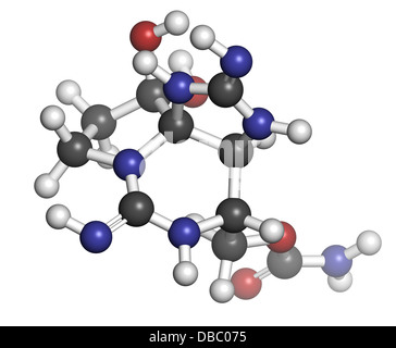 La saxitoxine (STX) toxines paralysantes des mollusques (PST), la structure chimique. Les atomes sont représentés comme des sphères de couleur classiques Banque D'Images