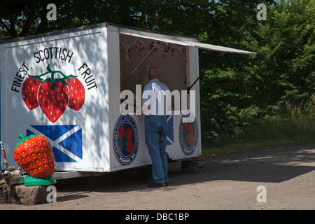 Blairgowrie's Scottish Berry Farm Industry Man (MR) à Roadside fruit Stall remorque vendant des fraises locales à Blairgowrie, Écosse, Royaume-Uni Banque D'Images