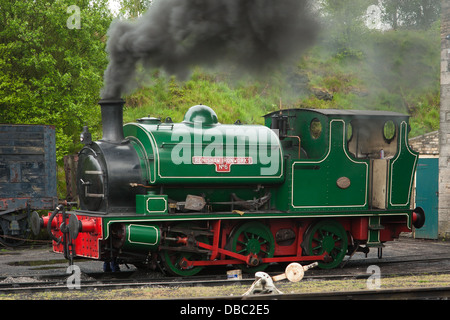 Moteur Saddleback, Tanfield, Co Durham Banque D'Images