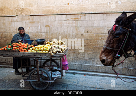 Étal de fruits. Médina, Fès el Bali, Fès, ville impériale, Maroc Banque D'Images