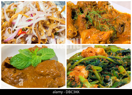 Collage avec des aliments Peranakan Nyonya Boeuf Rendang poulet Curry Ikan Bilis Chili Oignons et crevettes Kangkong lave libre Collage Banque D'Images