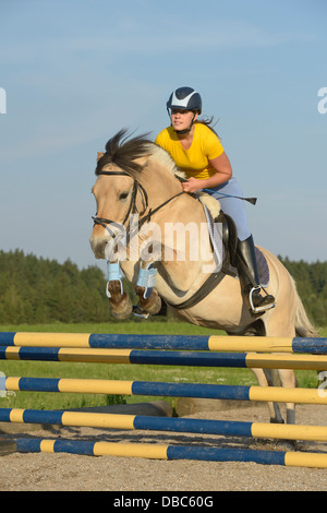 Jeune sur le dos d'un fjord norvégien saut à cheval Banque D'Images