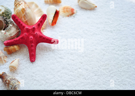 Gros plan sur les coquillages serviette éponge blanche Banque D'Images