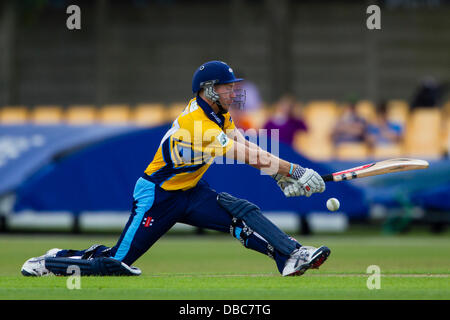 Leicester, Royaume-Uni. Dimanche 28 juillet 2013. Yorkshire's Richard progressif Pyrah étend pour tirer la balle. Action de l'FriendsLife t20 Groupe nord de cricket entre Leicestershire renards et Yorkshire Vikings. Credit : Graham Wilson/Alamy Live News Banque D'Images