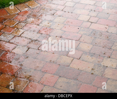 De lourdes gouttes éclaboussant sur brique rouge rustique patio ouvrant sur UK jardin avec joints poreux agissant comme soakaway l'eau de surface Banque D'Images