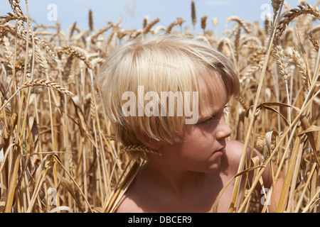 Portrait de garçon blond dans un champ de blé de l'été Banque D'Images