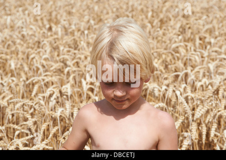 Portrait de garçon blond dans un champ de blé de l'été Banque D'Images