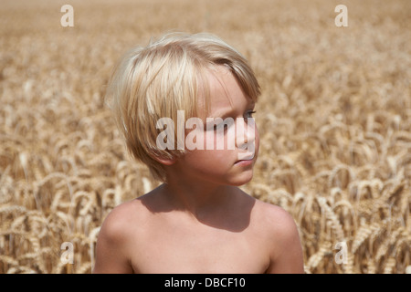 Portrait de garçon blond dans un champ de blé de l'été Banque D'Images