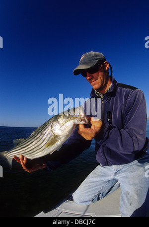 Homme tenant un bar rayé (Morone saxatilis striper ou) détectée lors de la pêche à la mouche près de Chatham, Cape Cod, Massachusetts Banque D'Images