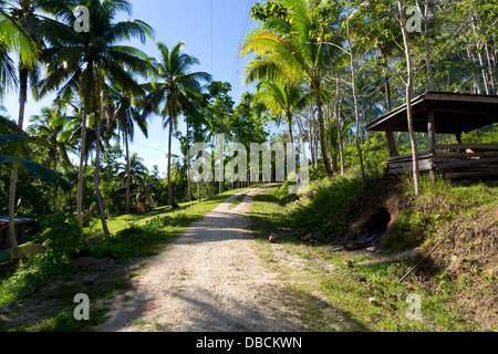 Routes de campagne, sur l'île de Bohol, Philippines Banque D'Images