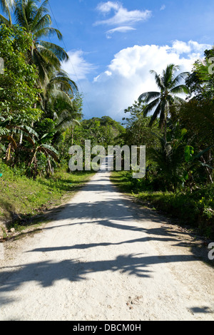 Routes de campagne, sur l'île de Bohol, Philippines Banque D'Images