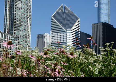 CHICAGO - 19 juillet : le bâtiment Communication Crain vus de Lurie Garden le 19 juillet 2013. Banque D'Images