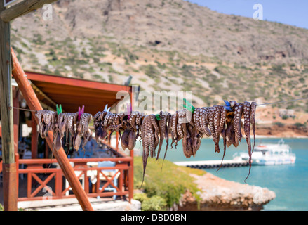 Le poulpe à la ligne en train de sécher dehors à l'extérieur de taverna avec en toile de fond la mer en Crète, Grèce Banque D'Images