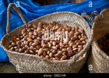 Les noix d'argan Banque D'Images