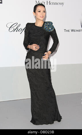 Ziyi Zhang 2011 Cannes International Film Festival - Jour 9 Gala de l'amfAR CONTRE LE SIDA - Arrivées Cap d'Antibes, France - 19.05.11 Banque D'Images