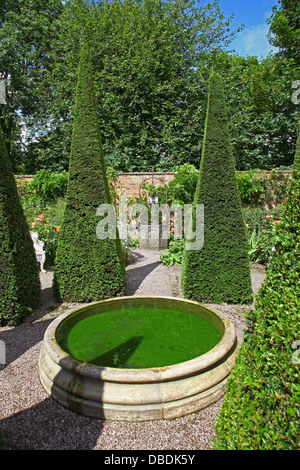 Clippé yew spires et bien à Wollerton Old Hall Gardens jardin Wollerton London Greater London England UK Banque D'Images