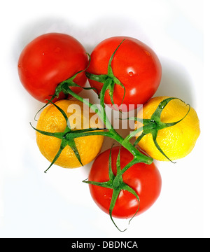 Branche verte avec des tomates rouges et jaunes citrons. sélection Banque D'Images