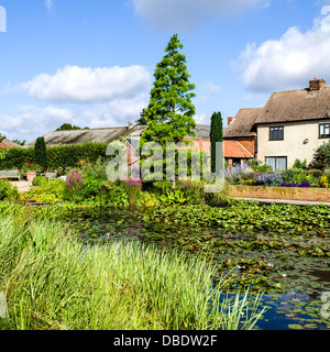 Composition du lac carré et des capacités au RHS Hyde Hall Gardens Banque D'Images