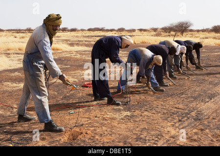 Au cours de l'enquête physique Geo l'exploration pétrolière. Réglage de l'équipage avant l'enfouissement des lignes et des capteurs sismiques avant l'enregistrement de géophones Banque D'Images