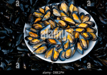 Assiette de moules ouvertes sur des coquilles de moules, Normandie, France Banque D'Images