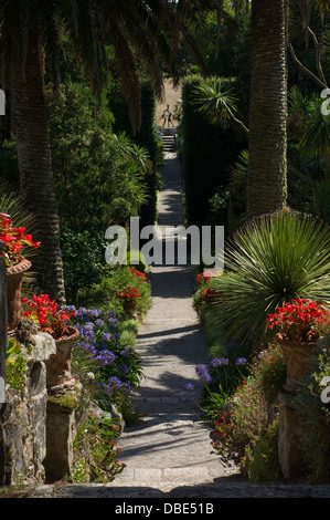 En regardant une avenue de plantes vers une statue en bronze appelé enfants Tresco par David Wynne , Jardin de l'abbaye de Tresco, Tresco, Îles Scilly, Angleterre Banque D'Images